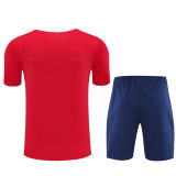 25-26 Paris Saint-Germain (Training clothes) Set.Jersey & Short High Quality