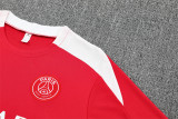 25-26 Paris Saint-Germain (Training clothes) Set.Jersey & Short High Quality