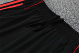 25-26 Manchester United (Training clothes) Set.Jersey & Short High Quality