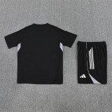2025 Argentina (Training clothes) Set.Jersey & Short High Quality