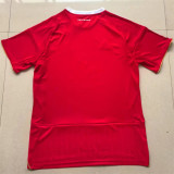 25-26 Al Ahly Cairo home Fans Version Thailand Quality