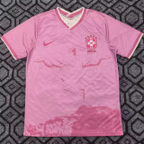 2025 Brazil (Special Edition) Fans Version Thailand Quality