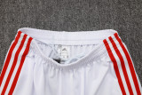 25-26 Bayern München (white) Jacket Adult Sweater tracksuit set