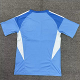 25-26 Newcastle United (Goalkeeper) Fans Version Thailand Quality