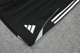 2025 Germany (Training clothes) Adult Jersey & Short Set Quality