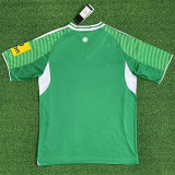 25-26 Newcastle United Away Fans Version Thailand Quality
