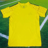 25-26 Al-Nassr FC home Fans Version Thailand Quality