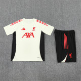 25-26 Liverpool (Training clothes) Set.Jersey & Short High Quality