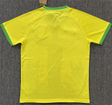 2025 Brazil (Special Edition) Fans Version Thailand Quality