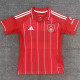25-26 Nottingham Forest home Fans Version Thailand Quality