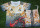 Kids kit 25-26 Real Madrid (Special Edition) Thailand Quality
