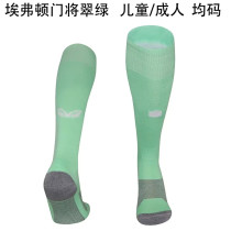 25-26 Everton (Goalkeeper) Soccer Socks