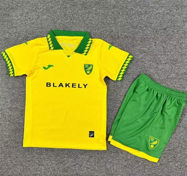 Kids kit 25-26 Norwich City home Thailand Quality