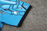 25-26 SSC Napoli (Training clothes) Set.Jersey & Short High Quality