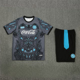 25-26 SSC Napoli (Training clothes) Set.Jersey & Short High Quality