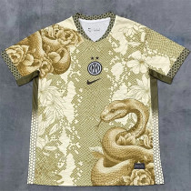 25-26 Inter milan (Special Edition) Fans Version Thailand Quality