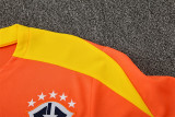 2025 Brazil (Training clothes) Adult Jersey & Short Set Quality