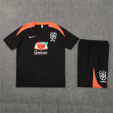 2025 Brazil (Training clothes) Adult Jersey & Short Set Quality