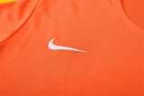 2025 Brazil (Training clothes) Adult Jersey & Short Set Quality