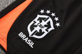 2025 Brazil (Training clothes) Adult Jersey & Short Set Quality