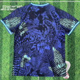 2025 Brazil (Special Edition) Fans Version Thailand Quality