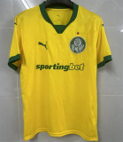 25-26 SE Palmeiras Away Fans Version Thailand Quality