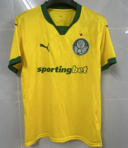 25-26 SE Palmeiras Away Fans Version Thailand Quality