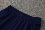 25-26 FC Barcelona (Training clothes) Set.Jersey & Short High Quality