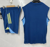 25-26 Real Zaragoza (Vest) Set.Jersey & Short High Quality