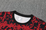 25-26 Liverpool (Training clothes) Set.Jersey & Short High Quality