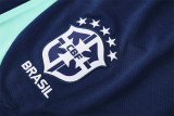 2025 Brazil (Training clothes) Adult Jersey & Short Set Quality