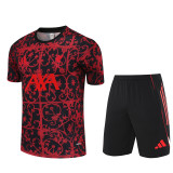 25-26 Liverpool (Training clothes) Set.Jersey & Short High Quality