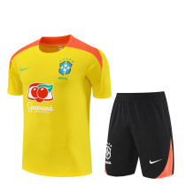 2025 Brazil (Training clothes) Adult Jersey & Short Set Quality