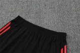 25-26 Liverpool (Training clothes) Set.Jersey & Short High Quality