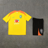 2025 Brazil (Training clothes) Adult Jersey & Short Set Quality