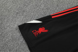25-26 Liverpool (Training clothes) Set.Jersey & Short High Quality