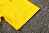 2025 Brazil (Training clothes) Adult Jersey & Short Set Quality