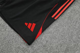 25-26 Manchester United (Training clothes) Set.Jersey & Short High Quality