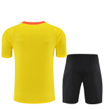 2025 Brazil (Training clothes) Adult Jersey & Short Set Quality