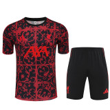 25-26 Liverpool (Training clothes) Set.Jersey & Short High Quality