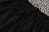 2025 Brazil (Training clothes) Adult Jersey & Short Set Quality
