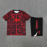 25-26 Liverpool (Training clothes) Set.Jersey & Short High Quality