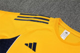 25-26 CA Boca Juniors (Special Edition) Set.Jersey & Short High Quality