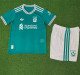 Player Version Kids kit 25-26 Liverpool Third Away Thailand Quality
