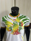 2025 République du Mali Player Version Thailand Quality