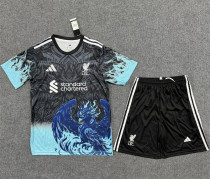 25-26 Liverpool (Special Edition) Set.Jersey & Short High Quality