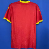 2025 Guinea Fans Version Thailand Quality