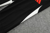 Player Version 25-26 Liverpool (black) Adult Sweater tracksuit set