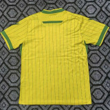 25-26 FC Nantes home Fans Version Thailand Quality