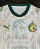 2026 Senegal home Fans Version Thailand Quality